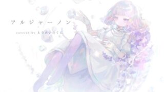 【音楽】アルジャーノン / ヨルシカ（Cover by とうめいのくに）【寄稿】